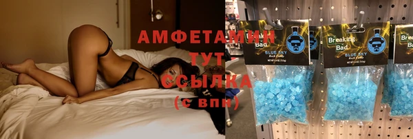 МДПВ Алзамай