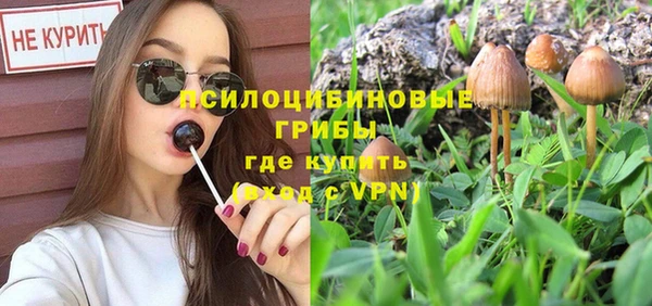 дживик Осташков